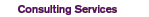 Consulting Services