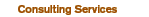 Consulting Services